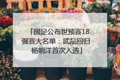 国足公布世预赛18强赛大名单：武磊回归 杨明洋首次入选