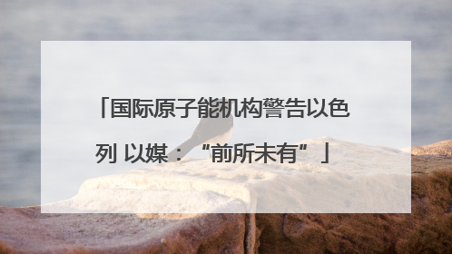 国际原子能机构警告以色列 以媒：“前所未有”
