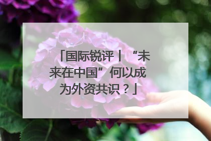 国际锐评丨“未来在中国”何以成为外资共识？