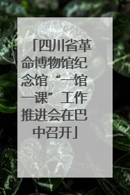 四川省革命博物馆纪念馆“一馆一课”工作推进会在巴中召开