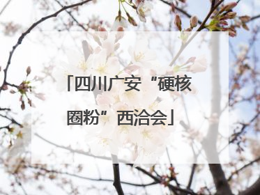 四川广安“硬核圈粉”西洽会