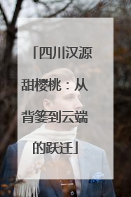 四川汉源甜樱桃：从背篓到云端的跃迁