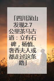 四川深山发现2.7公里茶马古道：立有石碑，杨慎、奢香夫人或都走过这条路