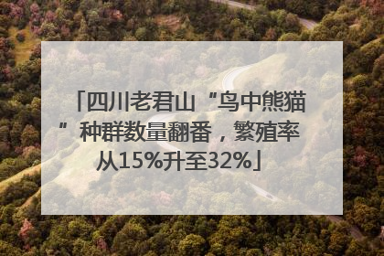 四川老君山“鸟中熊猫”种群数量翻番，繁殖率从15%升至32%