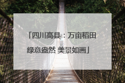 四川高县：万亩稻田绿意盎然 美景如画