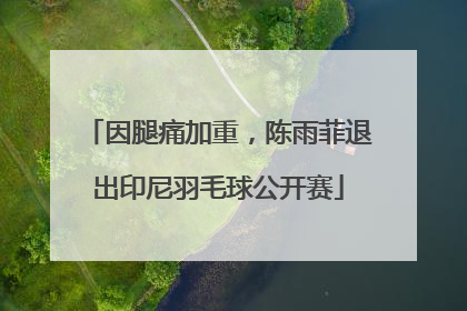 因腿痛加重，陈雨菲退出印尼羽毛球公开赛