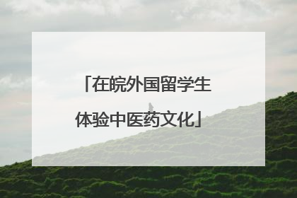 在皖外国留学生体验中医药文化