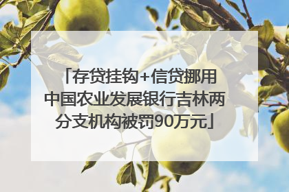 存贷挂钩+信贷挪用 中国农业发展银行吉林两分支机构被罚90万元