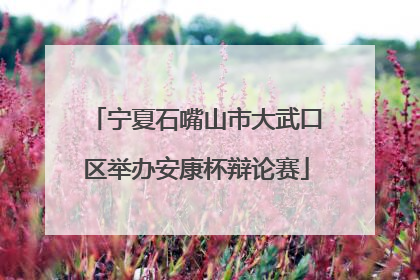 宁夏石嘴山市大武口区举办安康杯辩论赛