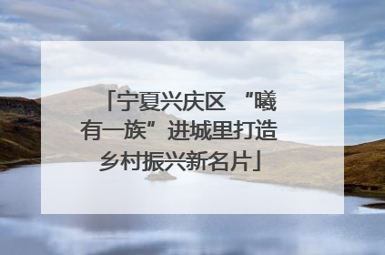 宁夏兴庆区 “曦有一族”进城里打造乡村振兴新名片
