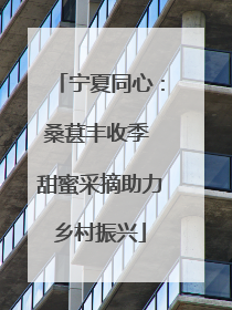 宁夏同心：桑葚丰收季 甜蜜采摘助力乡村振兴