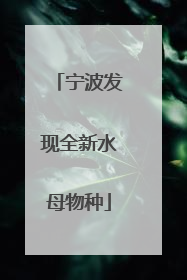 宁波发现全新水母物种
