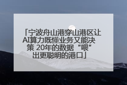 宁波舟山港穿山港区让AI算力既懂业务又能决策 20年的数据“喂”出更聪明的港口