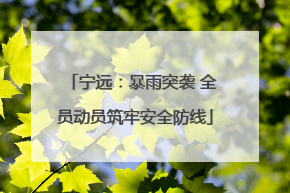 宁远：暴雨突袭 全员动员筑牢安全防线