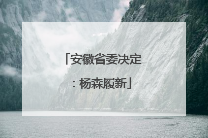 安徽省委决定：杨森履新