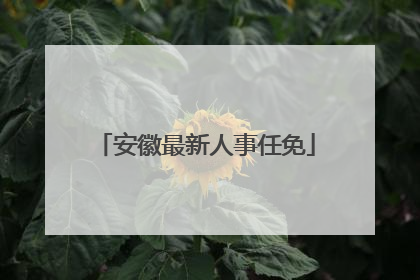 安徽最新人事任免