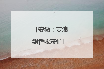 安徽：麦浪飘香收获忙