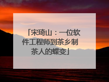 宋琦山：一位软件工程师到茶乡制茶人的蝶变