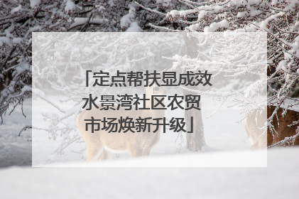定点帮扶显成效 水景湾社区农贸市场焕新升级