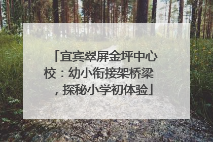 宜宾翠屏金坪中心校：幼小衔接架桥梁，探秘小学初体验