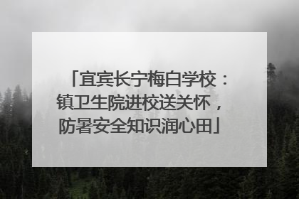 宜宾长宁梅白学校：镇卫生院进校送关怀，防暑安全知识润心田