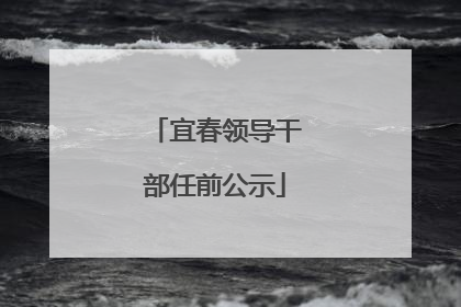 宜春领导干部任前公示