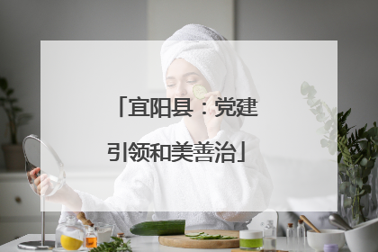 宜阳县：党建引领和美善治