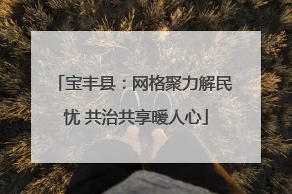 宝丰县：网格聚力解民忧 共治共享暖人心