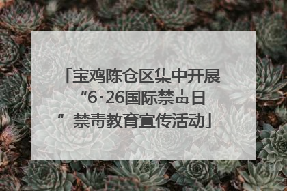 宝鸡陈仓区集中开展“6･26国际禁毒日”禁毒教育宣传活动