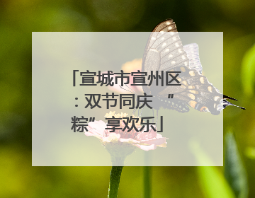 宣城市宣州区：双节同庆 “粽”享欢乐