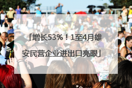 增长53%！1至4月雄安民营企业进出口亮眼