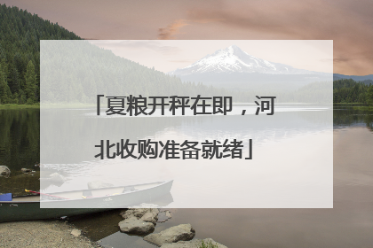 夏粮开秤在即，河北收购准备就绪