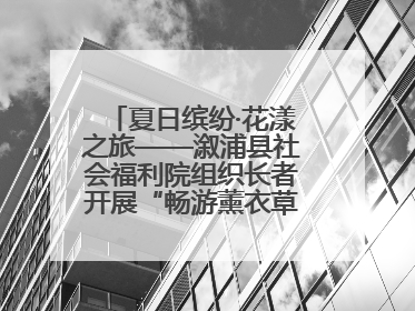 夏日缤纷·花漾之旅——溆浦县社会福利院组织长者开展“畅游薰衣草庄园 共享紫色浪漫”户外活动