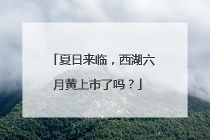 夏日来临，西湖六月黄上市了吗？