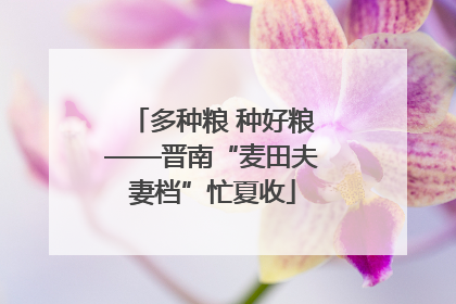 多种粮 种好粮——晋南“麦田夫妻档”忙夏收