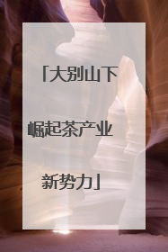 大别山下崛起茶产业新势力