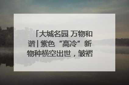 大城名园 万物和谐│紫色“高冷”新物种横空出世，皱褶叶片暗藏进化密码
