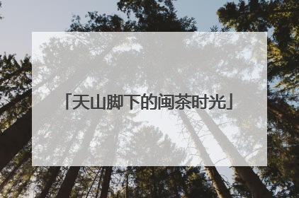 天山脚下的闽茶时光