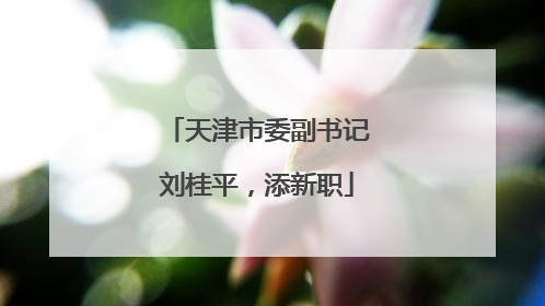 天津市委副书记刘桂平，添新职