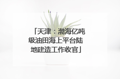 天津：渤海亿吨级油田海上平台陆地建造工作收官