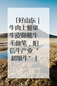 好山东｜牛肉上餐桌牛皮做靴牛毛做笔，阳信牛产业“超级牛”
