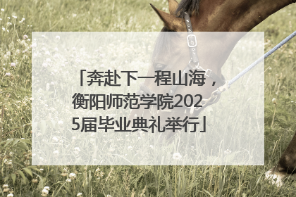 奔赴下一程山海，衡阳师范学院2025届毕业典礼举行