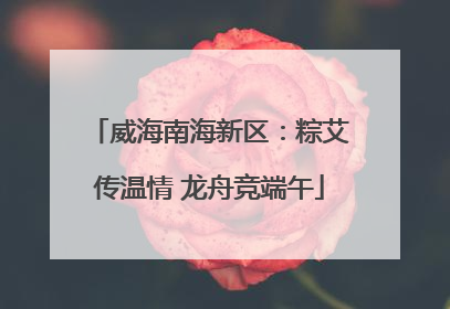 威海南海新区：粽艾传温情 龙舟竞端午