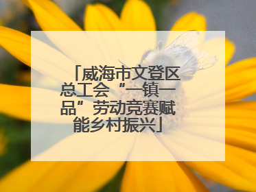 威海市文登区总工会“一镇一品”劳动竞赛赋能乡村振兴