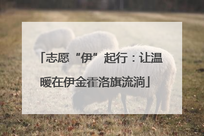 志愿“伊”起行：让温暖在伊金霍洛旗流淌