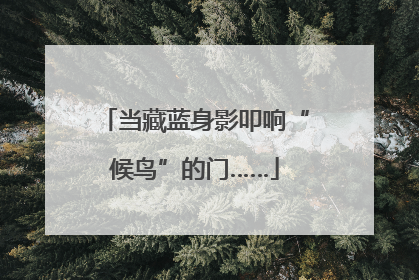 当藏蓝身影叩响“候鸟”的门……