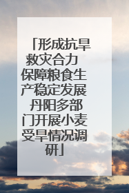 形成抗旱救灾合力 保障粮食生产稳定发展 丹阳多部门开展小麦受旱情况调研
