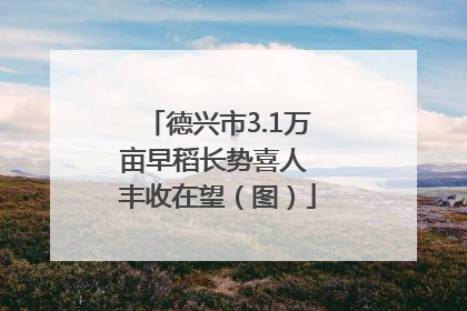 德兴市3.1万亩早稻长势喜人 丰收在望（图）