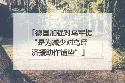 德国加强对乌军援 “是为减少对乌经济援助作铺垫”