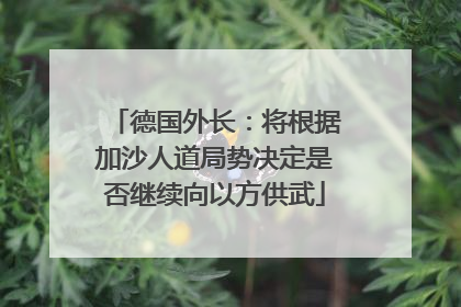 德国外长：将根据加沙人道局势决定是否继续向以方供武